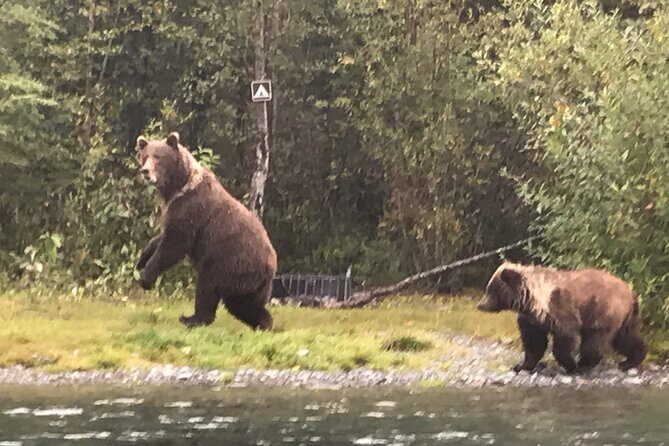 Full day fishing trips - Key Points