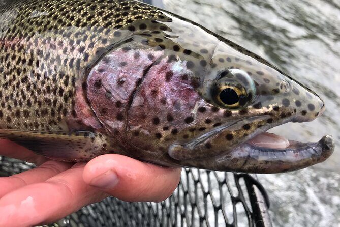 Full day fishing trips - FAQs