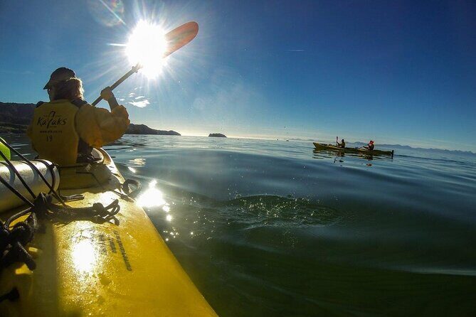 Full-Day Freedom Kayak Rental in New Zealand - Environmental Impact and Conservation