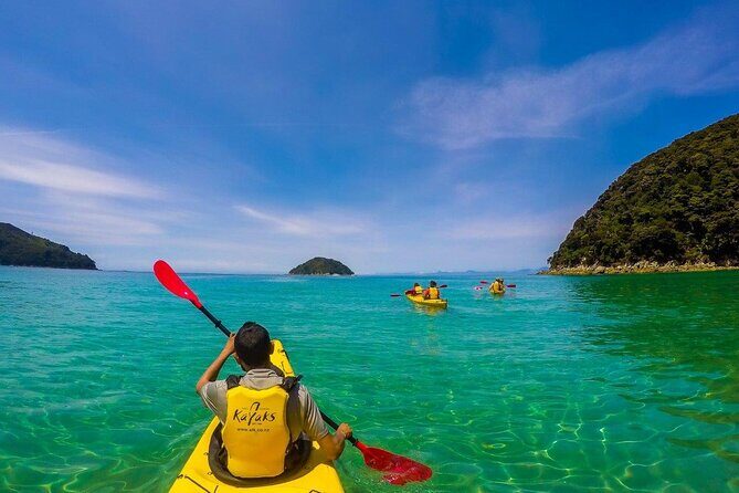 Full-Day Freedom Kayak Rental in New Zealand - Practical Considerations: What to Keep in Mind