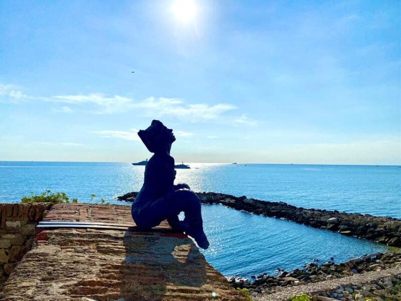 Full day French Riviera Panorama Tour - Key Points