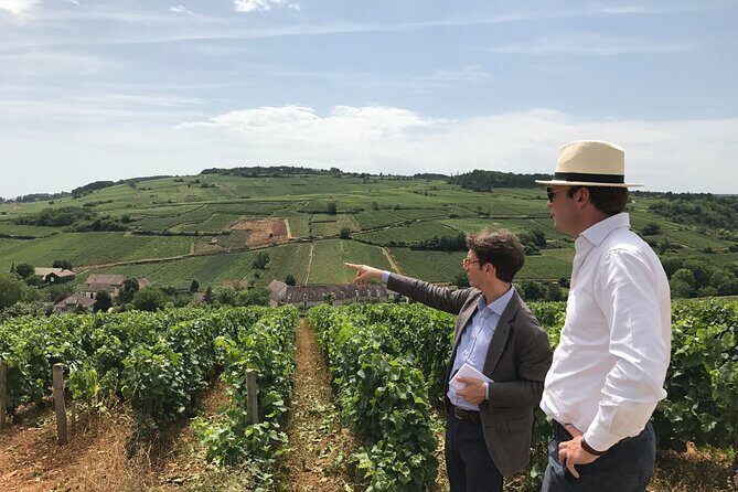 Full day from Beaune: the most of Burgundy, with lunch - Key Points