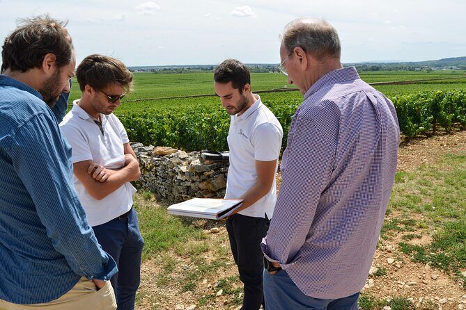 Full day from Beaune: the most of Burgundy, with lunch - The Pros and Cons