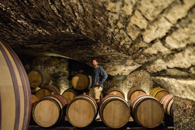 Full day from Dijon: the most of Burgundy with lunch - Review Summary