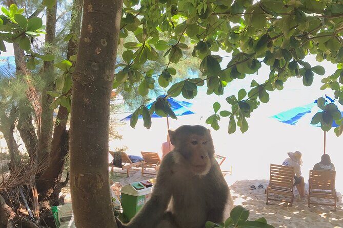 Full Day Fun Diving and Snorkeling By Tiger Fish Divers - What Makes This Tour Stand Out