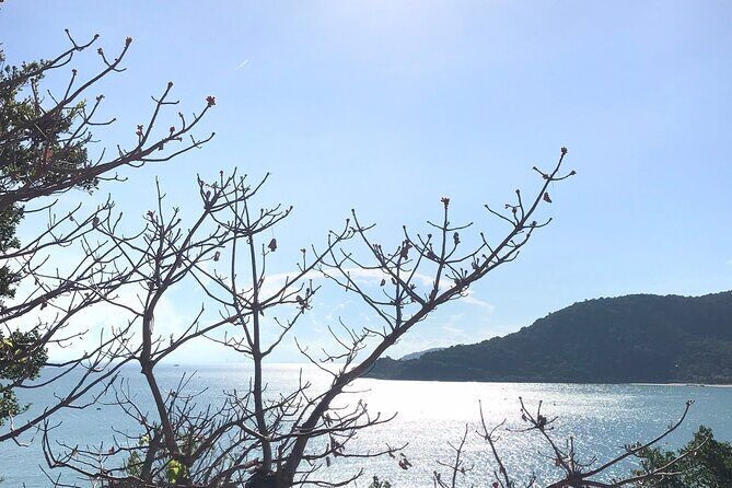 Full Day Fun Diving and Snorkeling By Tiger Fish Divers - Authentic Experiences & Real Feedback