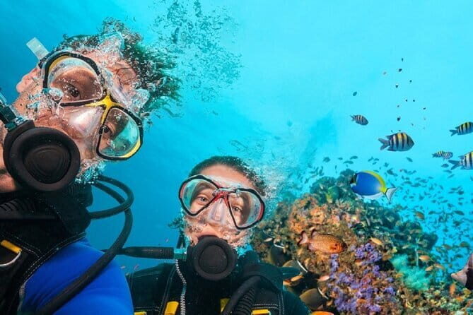 Full Day Fun Diving at Tulamben All inclusive - Key Points