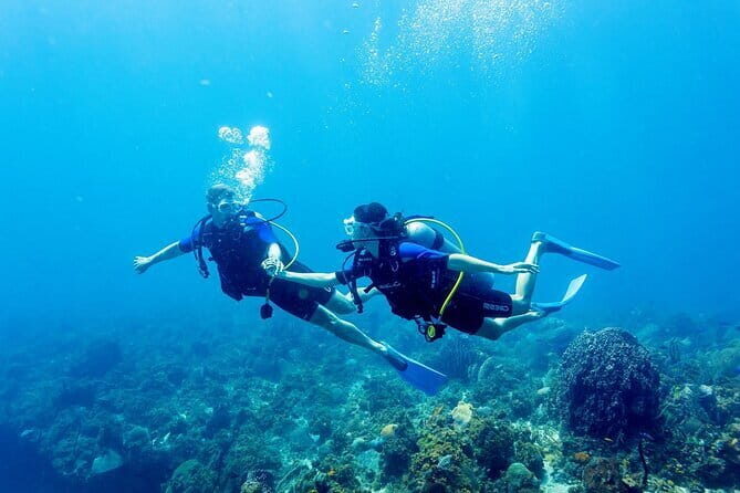 Full Day Fun Diving at Tulamben All inclusive - Final Thoughts: Who’s This Tour For?