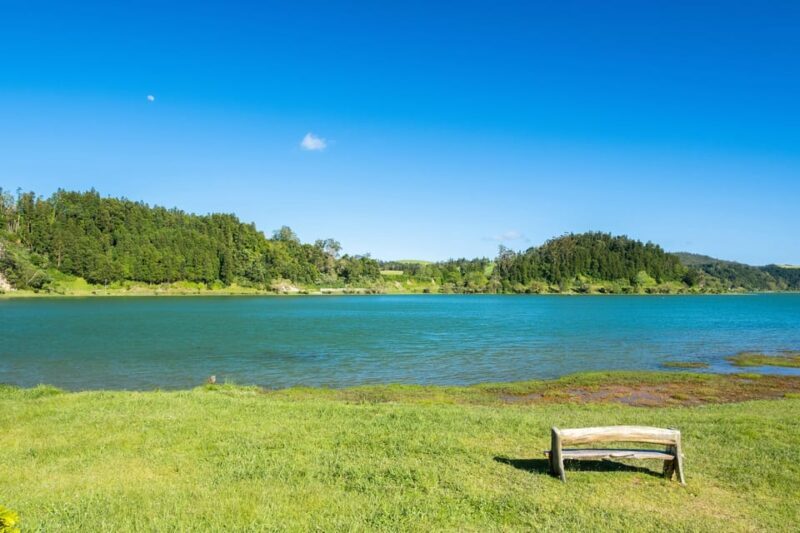 Full Day: Furnas, Tea Plantations & More With Lunch - Exploring São Miguel with a Focus on Natural Wonders and Cultural Experiences