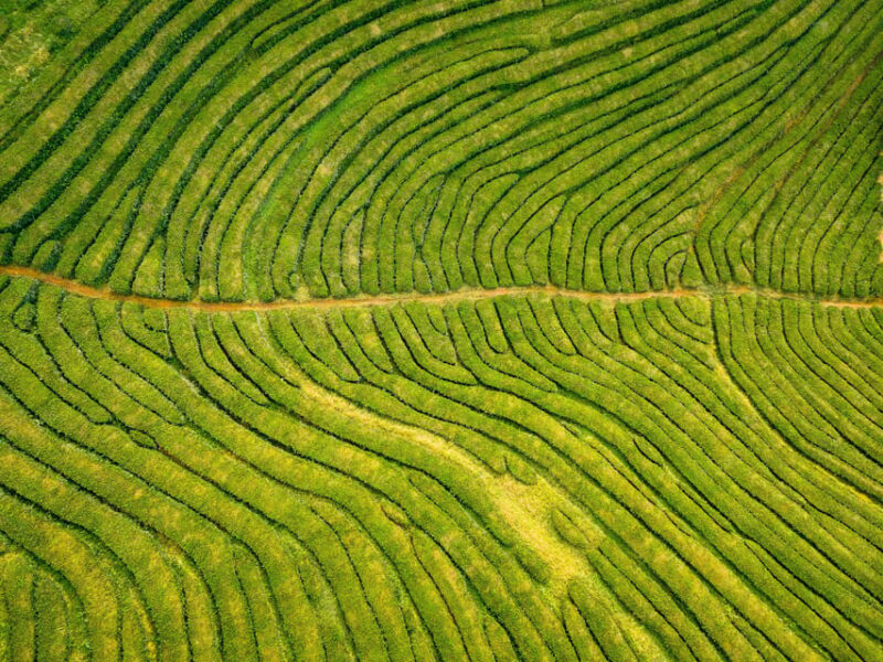 Full Day: Furnas, Tea Plantations & More With Lunch - FAQs