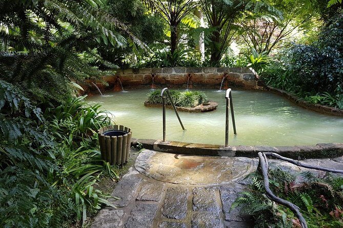 Full-Day Furnas Tour: Hot Springs, Traditional Lunch & Tea - The Sum Up