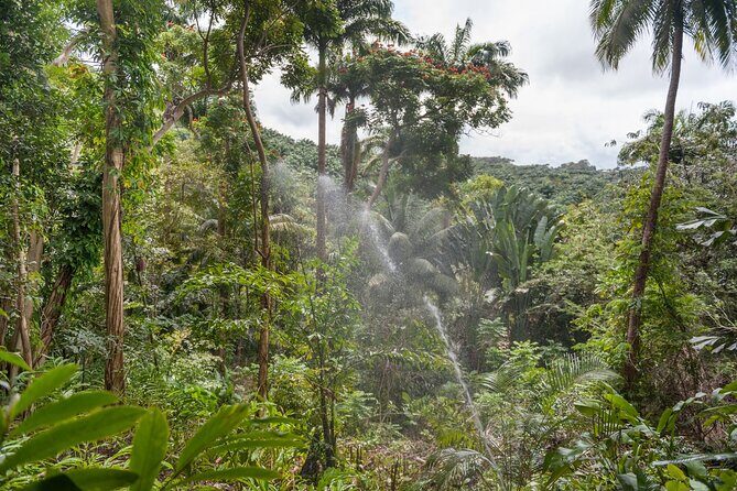 Full Day Garden Delight Private Tour in Barbados - Final thoughts