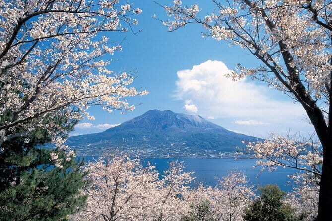Full-Day Gastronomic Kagoshima Adventure by Private Vehicle - Key Points