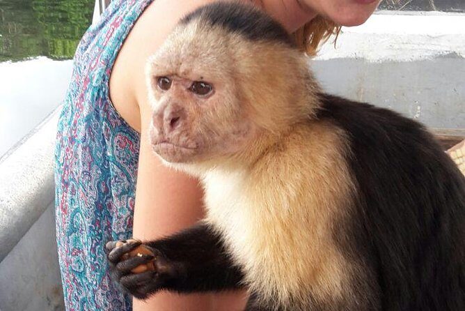 Full-Day Gatun Lake and Indian Village Tour from Panama City - An In-Depth Look at the Tour Experience