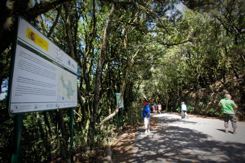 Full-Day Gomera Jeep Safari Excursion from Arona - An In-Depth Look at the Gomera Jeep Safari