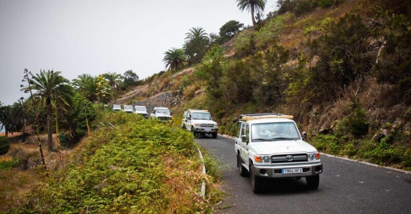 Full-Day Gomera Jeep Safari Excursion from Arona - The Sum Up