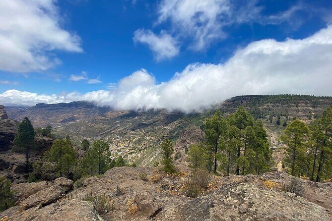 Full-Day Gran Canaria Tour with Teror, Tejeda and Lunch in Fataga - The Sum Up