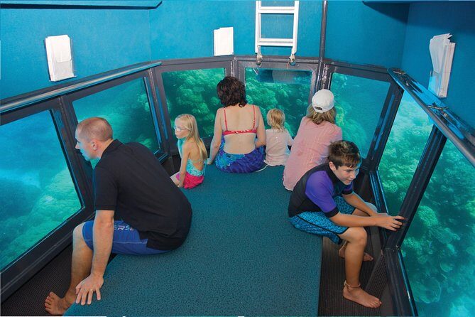 Full-Day Great Barrier Reef Pontoon with Snorkeling & Activities - An Honest and Detailed Look at the Full-Day Great Barrier Reef Tour