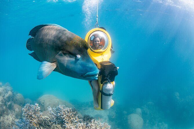 Full-Day Great Barrier Reef Pontoon with Snorkeling & Activities - Frequently Asked Questions