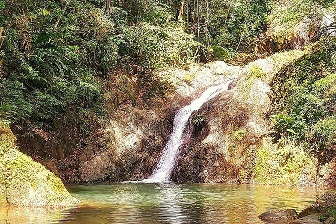 Full Day Group Tour in Tobago Atlantic Coast - Final Thoughts