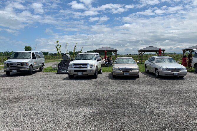Full-Day Group Wine Tour (with cheese and charcuterie) in Niagara-on-the-Lake - What to Expect From the Guide and the Experience