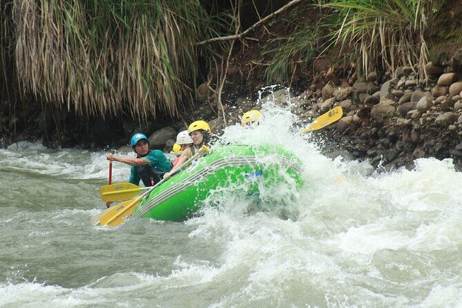 Full-Day Guided Adventure Tour in the Forest of San Ramón - Key Points