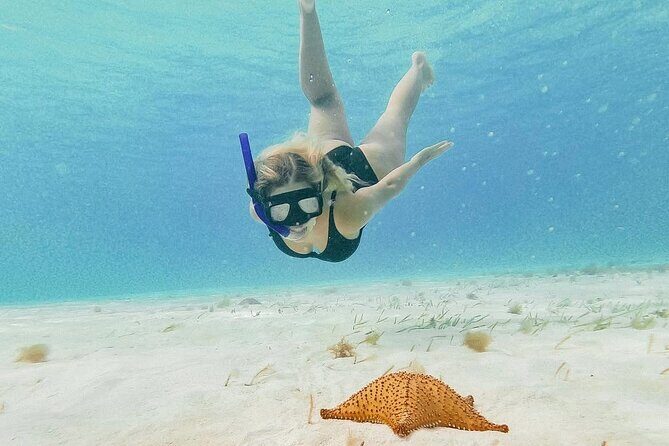 Full Day Guided Experience to El Cielo at Cozumel - In-Depth Review of the Full Day Guided Experience to El Cielo at Cozumel