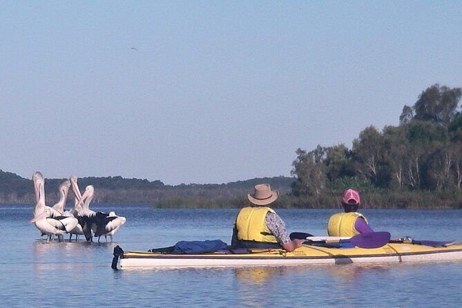 Full-Day Guided Noosa Everglades Kayak Tour - Pricing and Value