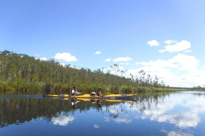 Full-Day Guided Noosa Everglades Kayak Tour - The Sum Up