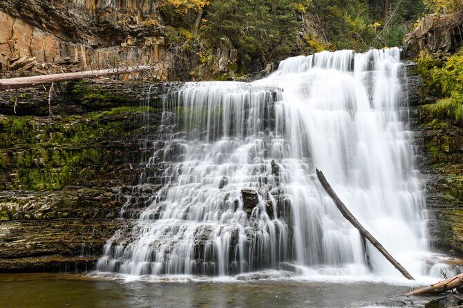 Full Day Guided Photo Tour in Yellowstone - The Sum Up
