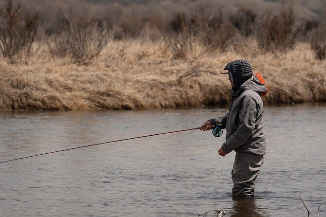 Full Day Guided Private Walk Wade Fly Fishing at Jackson Hole - Key Points