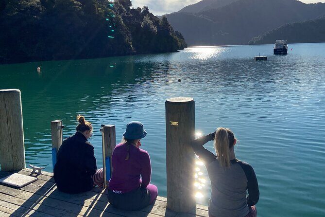 Full-Day Guided Sea Kayak Trip from Picton - The Value of This Sea Kayak Tour
