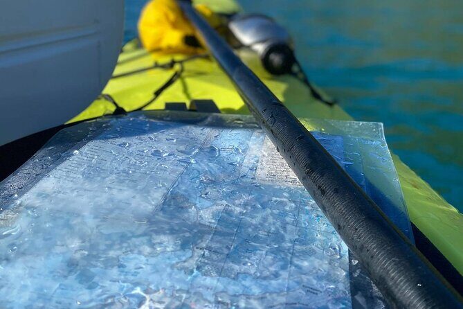 Full-Day Guided Sea Kayak Trip from Picton - Final Thoughts: Who Will Get the Most Out of This Tour?