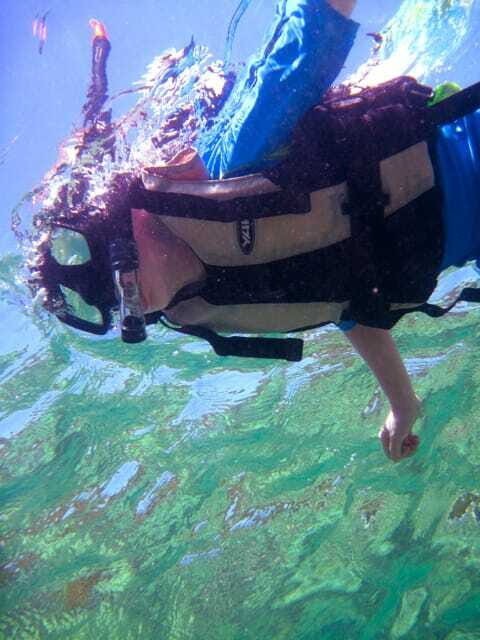 Full-Day Guided Snorkeling Tour from Kota Kinabalu - Experience the Beauty of Sabah’s Underwater World on a Full-Day Snorkeling Tour