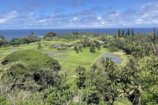 Full Day Guided Tour in Hana - Exploring the Full Day Hana Tour: An In-Depth Review