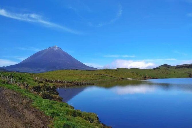 Full-Day Guided Tour in Pico Island - Full-Day Guided Tour in Pico Island: A Natural and Cultural Journey