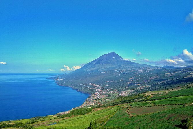 Full-Day Guided Tour in Pico Island - The Sum Up: Is This the Right Tour for You?