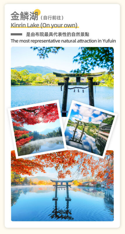 Full-Day Guided Tour of Dazaifu Tenmangu Shrine and Lake Kinrin - Who should book this day tour?
