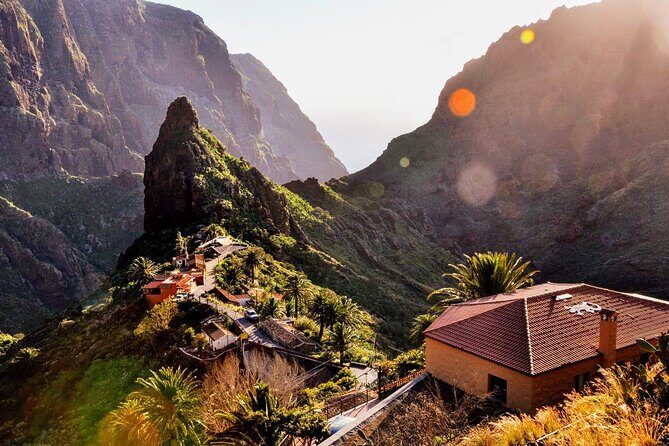 Full Day Guided Tour of Teide by Cabrio Bus - Why This Tour Will Appeal to You