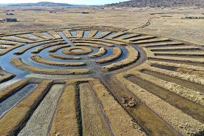 Full Day Guided Tour of the Aymara Route from Puno - Key Points