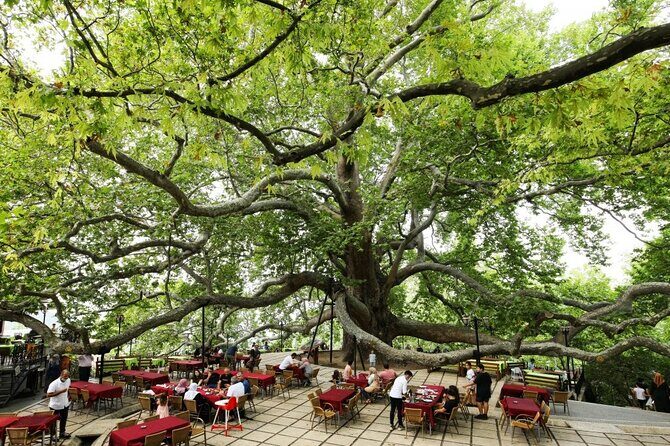 Full Day Guided Tour to Bursa with Lunch and Cable Car - Key Points