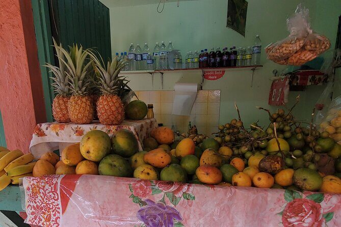 Full-Day Guided Tour to Dunns River Falls & shopping with lunch - Who Should Book This Tour?