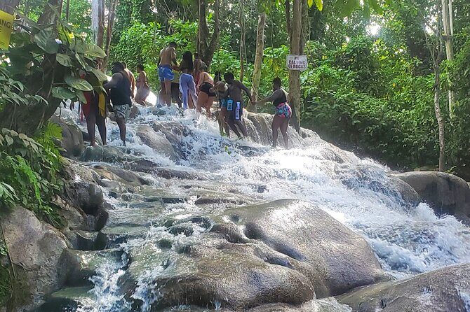 Full-Day Guided Tour to Dunns River Falls & shopping with lunch - Final Thoughts