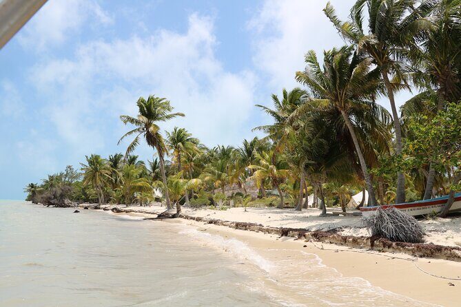 Full Day Guided Tour to Sian Ka'an (short way) - Who Will Love This Experience?