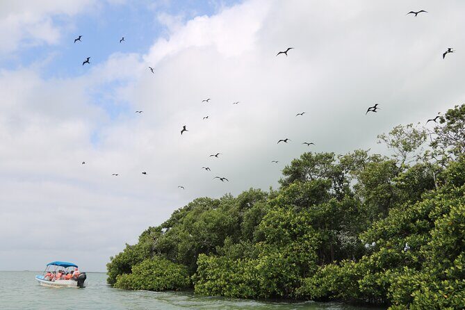 Full Day Guided Tour to Sian Ka'an (short way) - FAQ