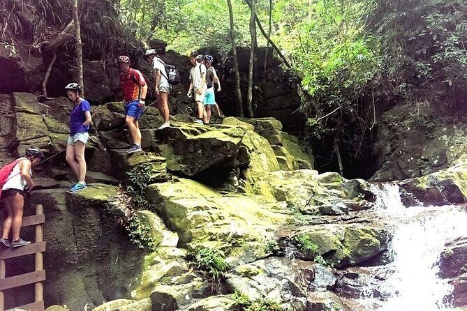 Full-Day Guided Trekking Tour in Bach Ma National Park Vietnam - Key Points