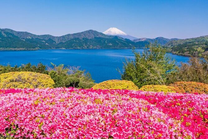 Full Day Guided Trip to Mt. Fuji and Hakone from Tokyo - FAQs