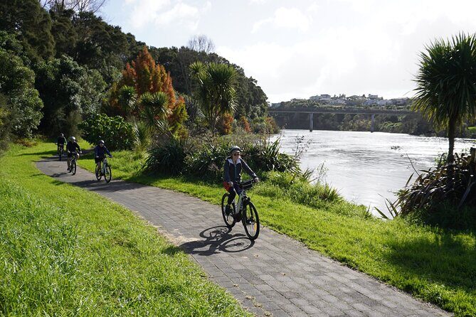Full Day Guided Waikato River Trail E-bike Tour - A Practical Guide to the Full Day Guided Waikato River Trail E-bike Tour