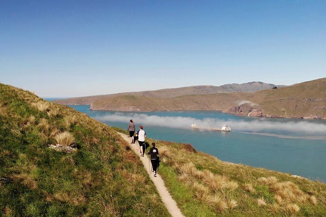 Full Day Guided Walking Tour and Picnic around Godley Head - FAQ: Your Questions Answered