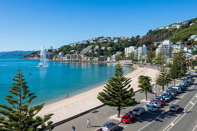 Full Day Guided Wellington Tour including Cable Car - Exploring Wellington in a Day: A Detailed Review of the Full Day Guided Tour